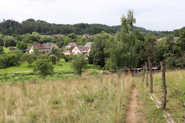 Heřmanice, Brod, 22.7.2021
Vrch Vinice, Ještěrčí ráj. 
Klíčová slova: Heřmanice Brod vrch Vinice Ještěrčí ráj