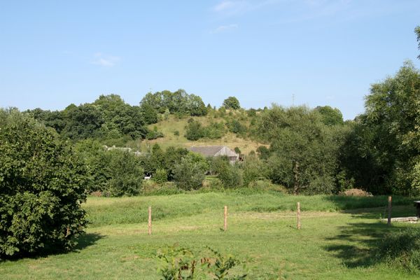 Brod nad Labem, 18.8.2008
Pohled od jihu přes Labe na step na vrchu Vinice.
Klíčová slova: Brod nad Labem step Agriotes gallicus