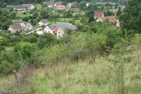 Brod nad Labem, 28.7.2007
Pohled ze stepi na jihozápadním svahu vrchu Vinice na obec Brod.
Mots-clés: Brod nad Labem step Agriotes gallicus