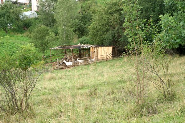 Brod nad Labem, 28.7.2007
Skromné obydlí terénních pracovnic ČSOP JARO Jaroměř. Díky jejich nezměrné píli je step na jihozápadním svahu vrchu Vinice stále ještě stepí.
Mots-clés: Brod nad Labem step Agriotes gallicus