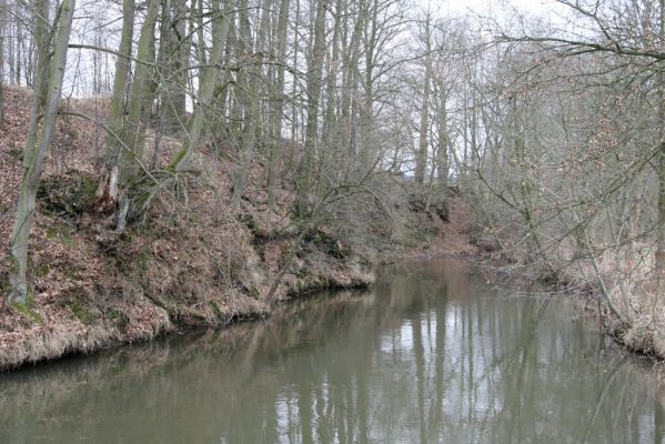 Broumov, 9.2.2016
Řeka Stěnava nad jezem.


Klíčová slova: Broumov Stěnava