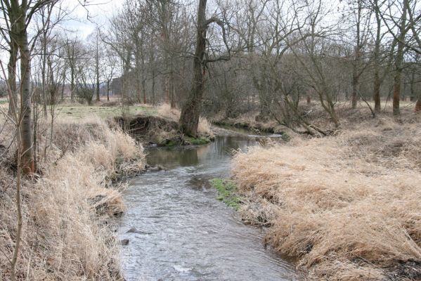 Broumov, 9.2.2016
Meandry Stěnavy - lužní les. 


Schlüsselwörter: Broumov Stěnava meandry