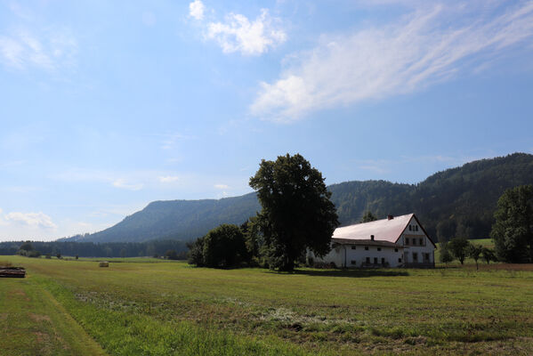Martínkovice, 7.9.2022
Martínkovice, pohled na Korunu.
Klíčová slova: Broumovské stěny Martínkovice Koruna