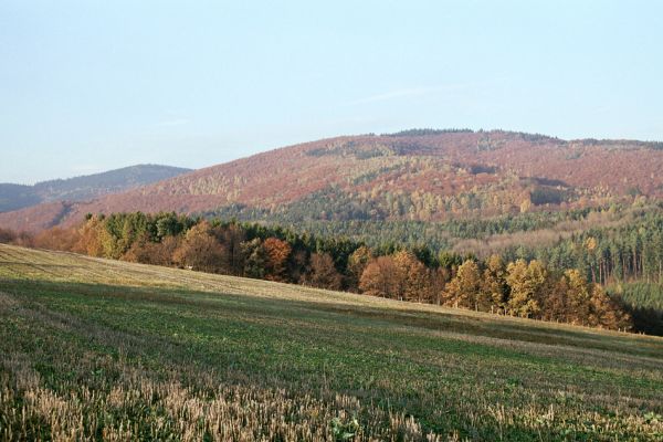 Brumov-Bylnice, 3.11.2003
Pohled na vrch Matka od Brumova.
Schlüsselwörter: Bílé Karpaty Brumov-Bylnice Matka