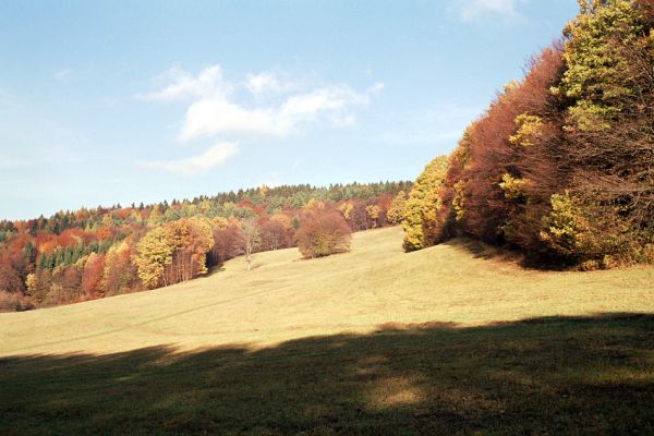 Brumov-Bylnice, 3.11.2003
Louky na vrchu Vršek.
Mots-clés: Bílé Karpaty Brumov-Bylnice Vršek