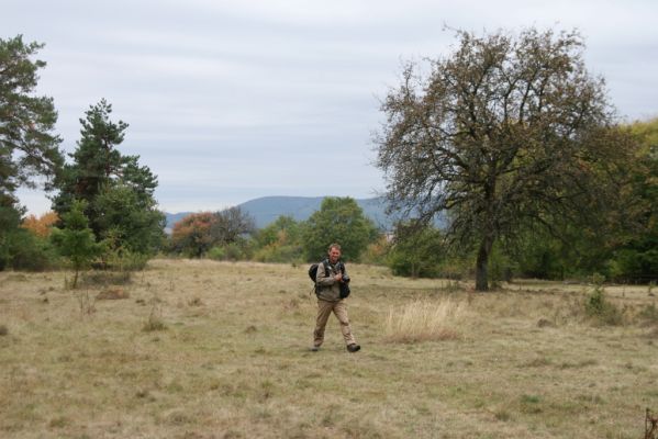 Budikovany, 29.9.2012
Pastevní les severně od obce.



Schlüsselwörter: Budikovany pastevní les Krátký