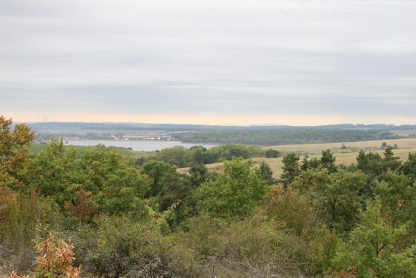 Budikovany, 29.9.2012
Pastevní les severně od obce. Pohled na Teplý Vrch a Malou oboru.


Klíčová slova: Budikovany pastevní les Teplý Vrch Malá obora