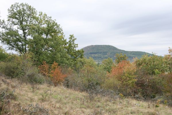 Budikovany, 29.9.2012
Pastevní les severně od obce - kras. Pohled na vrch Hradište (Čierna obora).


Keywords: Budikovany pastevní les Hradište Čierna obora