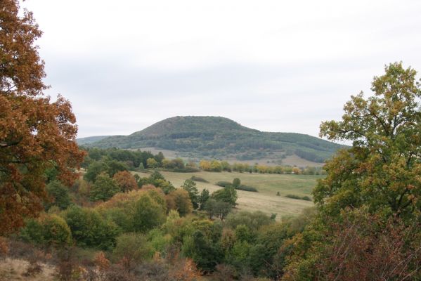 Budikovany, 29.9.2012
Pastevní les severně od obce. Pohled na vrch Hradište (Čierna obora) 



Klíčová slova: Budikovany pastevní les Hradište Čierna obora