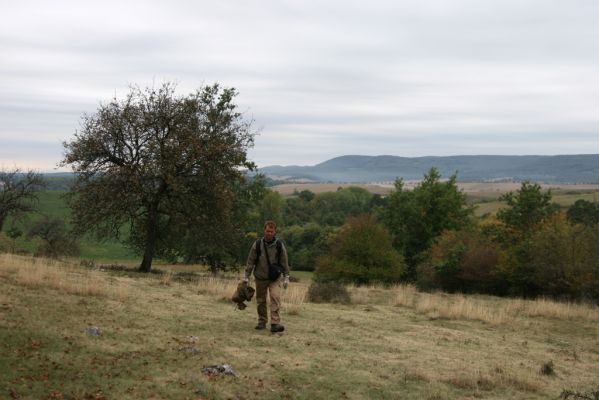 Budikovany, 29.9.2012
Pastevní les severně od obce. V pozadí Pokoradzská tabule.


Klíčová slova: Budikovany pastevní les Krátký