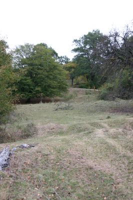 Budikovany, 29.9.2012
Pastevní les severně od obce.



Klíčová slova: Budikovany pastevní les