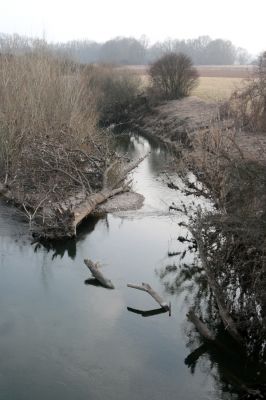 Bukovina nad Labem, 15.3.2011
Meandr Labe na jaře. 
Schlüsselwörter: Bukovina nad Labem Labe Negastrius pulchellus Zorochros quadriguttatus dermestoides