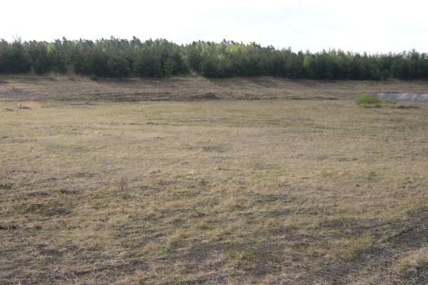 Bukovina nad Labem, 27.4.2010
Popílkoviště Opatovické elektrárny.
Klíčová slova: Bukovina nad Labem popílkoviště