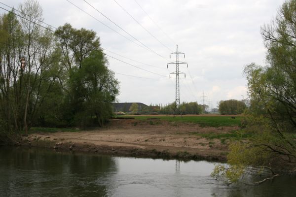 Bukovina nad Labem, 27.4.2010
Pohled na pravý břeh Labe u Opatovické elektrárny. Plocha pod elektrovody byla zbavena vegetace a pískomilný život se zde může začít rozvíjet.
Klíčová slova: Bukovina nad Labem Labe elektrárna