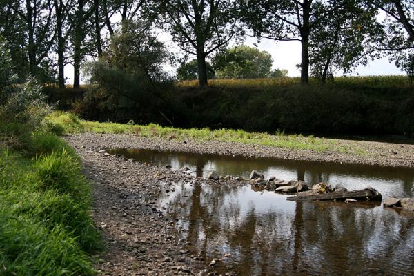 Vysoká nad Labem, 4.10.2008
Štěrkové náplavy Labe mezi Vysokou nad Labem a Bukovinou.
Klíčová slova: Vysoká nad Labem Labe Hrozná