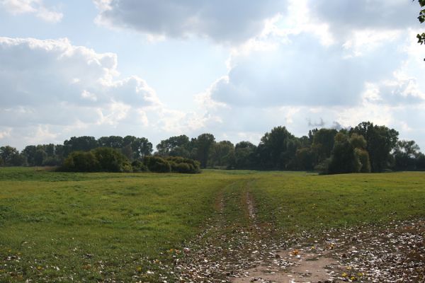 Bukovina nad Labem, 4.10.2008
Záplavová luka mezi Vysokou nad Labem a Bukovinou. Pohled k jihu.
Schlüsselwörter: Vysoká nad Labem Bukovina záplavová louka