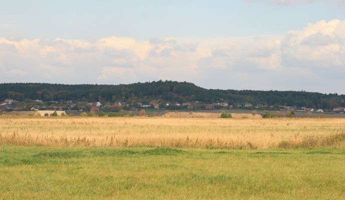 Vysoká nad Labem, 4.10.2008
Pohled ze záplavových luk mezi Vysokou nad Labem a Bukovinou na vrch Lhotu.
Klíčová slova: Vysoká nad Labem Bukovina záplavová louka vrch Lhota