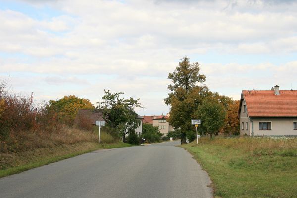 Bukovina nad Labem, 4.10.2008
Třešně na jižním okraji obce Bukovina nad Labem. Biotop krasce Anthaxia candens.
Schlüsselwörter: Bukovina nad Labem Anthaxia candens