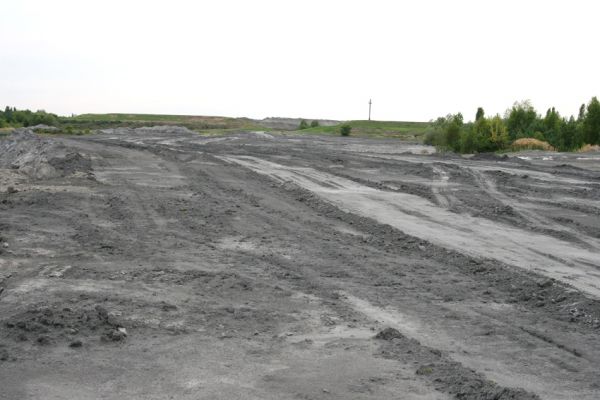 Bukovina nad Labem, 5.8.2010
Odkaliště elektrárenského popílku, východní část. 
Klíčová slova: Bukovina nad Labem popílkoviště