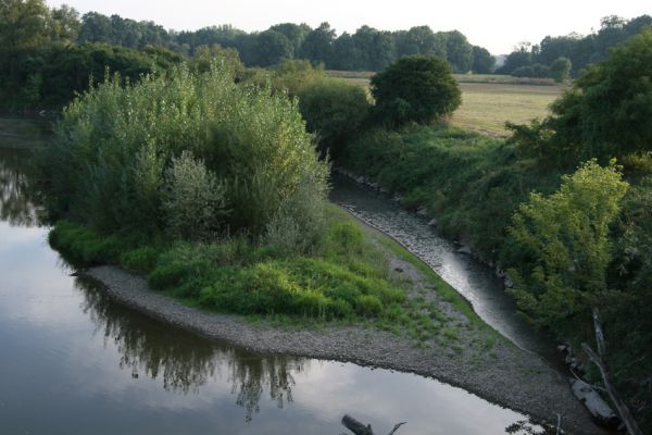 Bukovina, 5.9.2008
Ostrov v meandru Labe u obce Bukovina. Tento meandr je poslední dochovaná část českého nížinného toku Labe.
Mots-clés: Bukovina meandr Labe