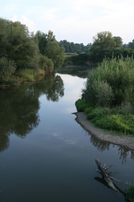 Bukovina, 5.9.2008
Ostrov v meandru Labe u obce Bukovina. Poslední dochovaná část českého nížinného toku Labe.
Klíčová slova: Bukovina meandr Labe