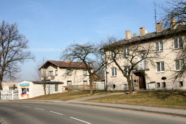 Bukovina nad Labem, 6.3.2013
Třešně osídlené krasci třešňovými.
Klíčová slova: Bukovina nad Labem Anthaxia candens krasec třešňový