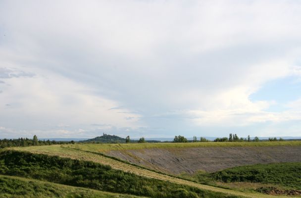 Bukovina nad Labem, 7.6.2009
Popílkoviště Opatovické elektrárny. Na obzoru je Kunětická Hora.
Schlüsselwörter: Bukovina nad Labem Kunětická Hora