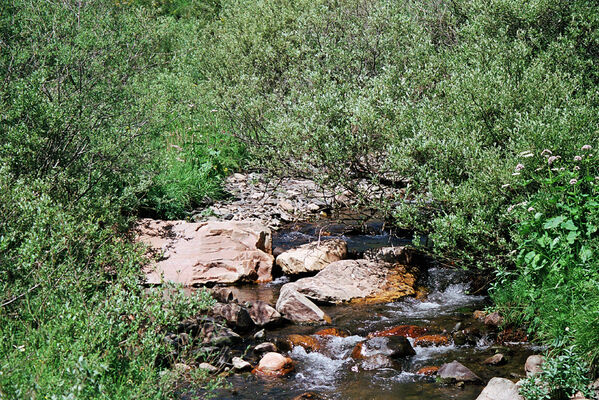 Busdongo de Arbas, 17.6.2005
Busdongo de Arbas - Arbás del Puerto. Río Bernesga - biotop kovaříků Selatosomus hispanicus.
Keywords: León province Castile and León Busdongo de Arbas Arbás del Puerto Río Bernesga Selatosomus aeneus hispanicus