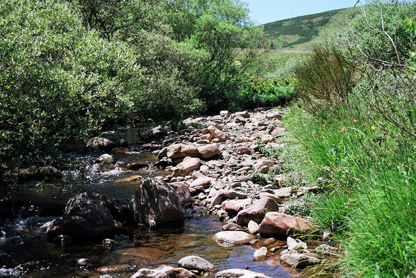 Busdongo de Arbas, 17.6.2005
Busdongo de Arbas - Arbás del Puerto. Río Bernesga - biotop kovaříků Selatosomus hispanicus.
Keywords: León province Castile and León Busdongo de Arbas Arbás del Puerto Río Bernesga Selatosomus aeneus hispanicus