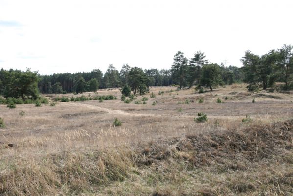 Bzenec, 23.4.2012
Vojenské cvičiště. 
Klíčová slova: Bzenec vojenské cvičiště