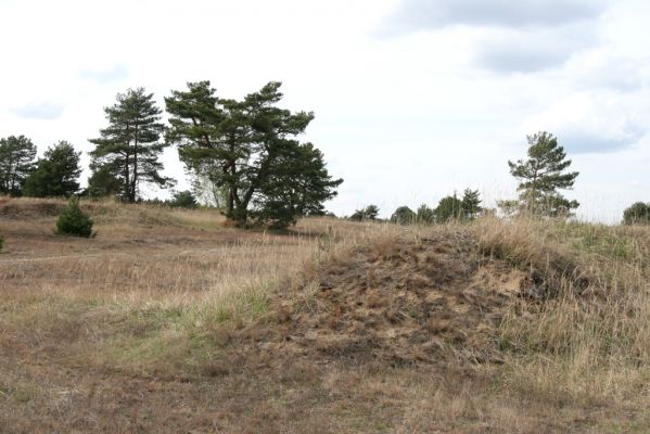 Bzenec, 23.4.2012
Vojenské cvičiště. 
Klíčová slova: Bzenec vojenské cvičiště