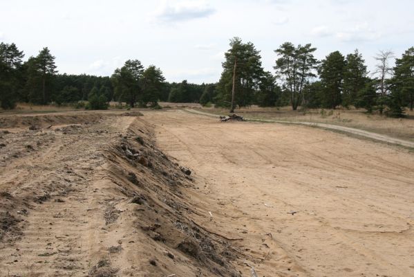 Bzenec, 23.4.2012
Vojenské cvičiště. Současný ochranářský management zaměřený na rozšíření plochy volných písků.
Klíčová slova: Bzenec vojenské cvičiště