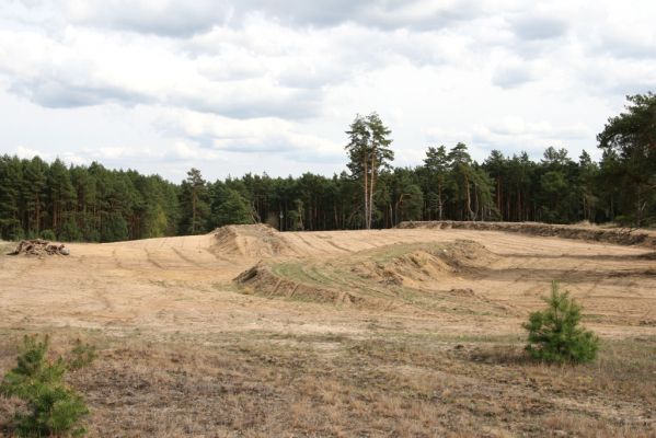 Bzenec, 23.4.2012
Vojenské cvičiště. Současný ochranářský management zaměřený na rozšíření plochy volných písků. 
Klíčová slova: Bzenec vojenské cvičiště