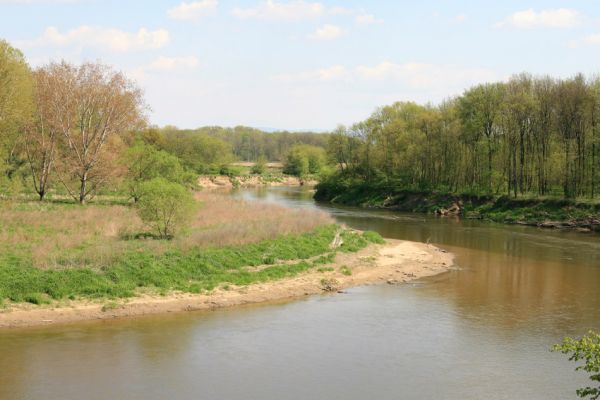 Bzenec-přívoz, řeka Morava, 28.4.2008
Rezervace Osypané břehy. Meandry Moravy.
Mots-clés: Bzenec-přívoz Morava Osypané břehy