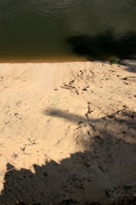 Bzenec-přívoz, řeka Morava, 28.4.2008
Rezervace Osypané břehy. Pohled z vrcholu největší písečné duny dolů k řece Moravě.
Keywords: Bzenec-přívoz Morava Osypané břehy