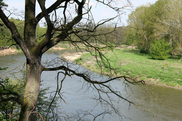 Bzenec-přívoz, řeka Morava, 28.4.2008
Rezervace Osypané břehy. Meandrující řeka Morava.
Schlüsselwörter: Bzenec-přívoz Morava Osypané břehy