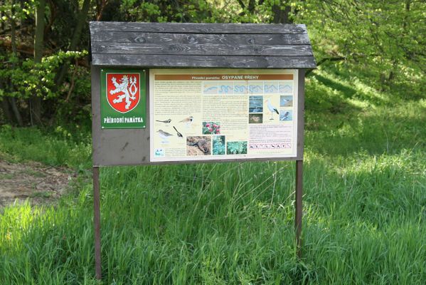 Bzenec-přívoz, řeka Morava, 28.4.2008
Rezervace Osypané břehy. Informační tabule.
Keywords: Bzenec-přívoz Morava Osypané břehy