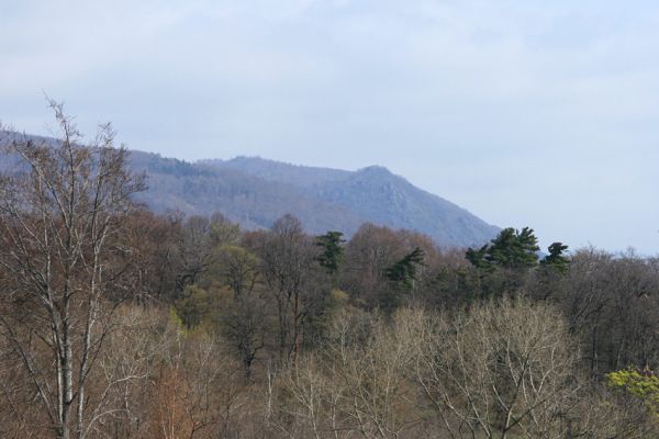 Jirkov, Červený Hrádek, 7.4.2007
Obora. Pohled ze západního hřbetu na Jezerku. 
Klíčová slova: Krušné hory Jirkov Červený Hrádek obora Jezerka