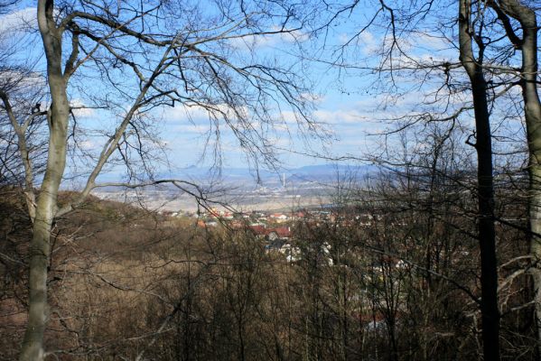 Jirkov, Červený Hrádek, 7.4.2007
Obora. Les na východního hřbetu poblíž Drmal. Pohled na Drmaly, Vysokou Pec a Most.
Klíčová slova: Krušné hory Jirkov Červený Hrádek obora