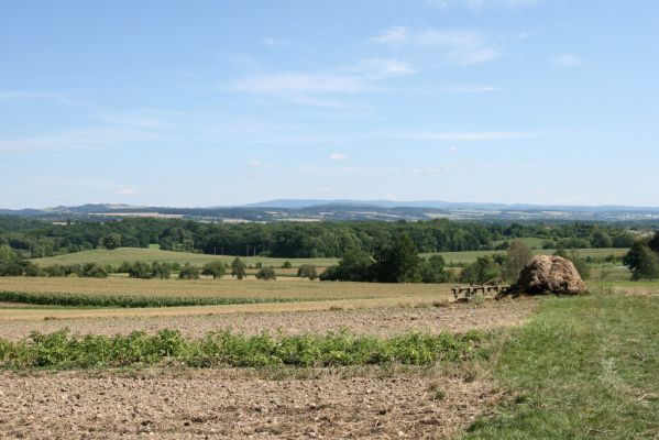 Česká Skalice, 18.8.2008
Pohled z třešňovky na východ. V popředí lesní komplex rezervace Dubno, vlevo vrch Dobrošov, napravo hřeben Orlických hor. 
Klíčová slova: Česká Skalice Dubno Dubenská obora Orlické hory Dobrošov