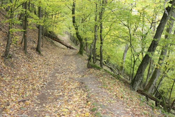 Čabradský Vrbovok, 11.10.2013
Kaňon Litavy - Čabraď, cesta k hradu.
Schlüsselwörter: Čabradský Vrbovok kaňon Litavy Čabraď