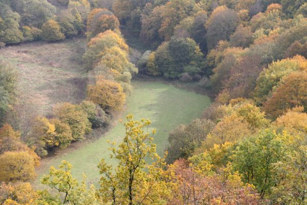 Čabradský Vrbovok, 11.10.2013
Kaňon Litavy - Čabraď. 
Klíčová slova: Čabradský Vrbovok kaňon Litavy Čabraď