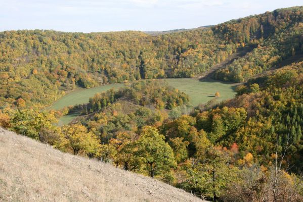 Čabradský Vrbovok, 11.10.2013
Kaňon Litavy - Čabraď. Pohled na bývalý meandr Litavy a Kozí chrbát.
Klíčová slova: Čabradský Vrbovok kaňon Litavy Čabraď