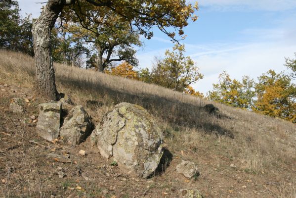 Čabradský Vrbovok, 11.10.2013
Kaňon Litavy - Čabraď. Lesostep.
Klíčová slova: Čabradský Vrbovok kaňon Litavy Čabraď