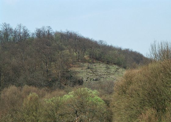 Cerovo, 19.4.2005
Skalní lesostep na jižním svyhu vrchu Náklo.


Klíčová slova: Čabradský Vrbovok Cerovo kaňon Litavy