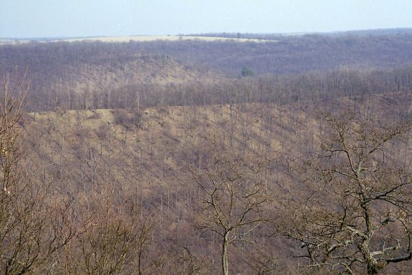 Čabradský Vrbovok, 29.3.2003
Čabraď, vrch Kováčovo.



Klíčová slova: Čabradský Vrbovok Čabraď vrch Kováčovo