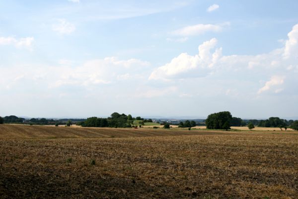 Mokré - vrch Horka, 31.7.2008
Pohled na vrch Horka od silnice na Přepychy.
Schlüsselwörter: Mokré vrch Horka