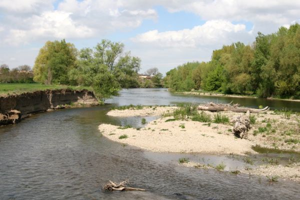 Čata, 16.4.2014
Štěrkové náplavy Hronu.
Schlüsselwörter: Čata Hron