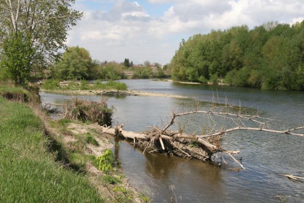 Čata, 16.4.2014
Meandry Hronu nad mostem.



Klíčová slova: Čata Hron Zorochros dermestoides quadriguttatus