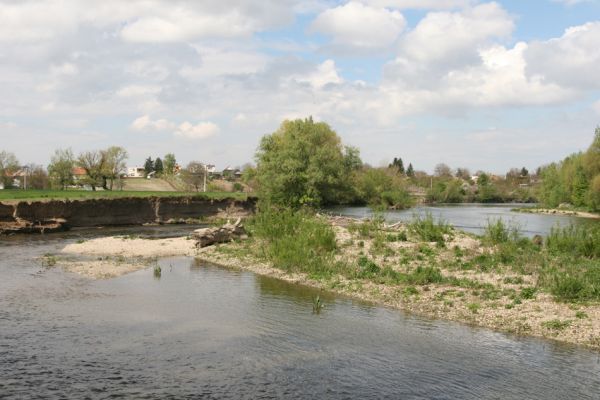 Čata, 16.4.2014
Meandry Hronu nad mostem - štěrkový ostrov.



Schlüsselwörter: Čata Hron Zorochros dermestoides quadriguttatus